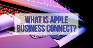 What is Apple Business Connect